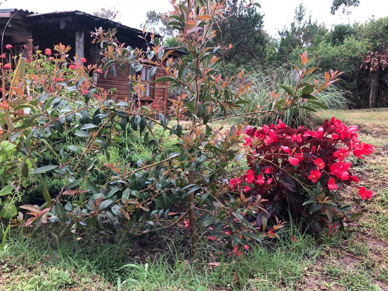 חוסה איגנסיו Malta Homestay מראה חיצוני תמונה