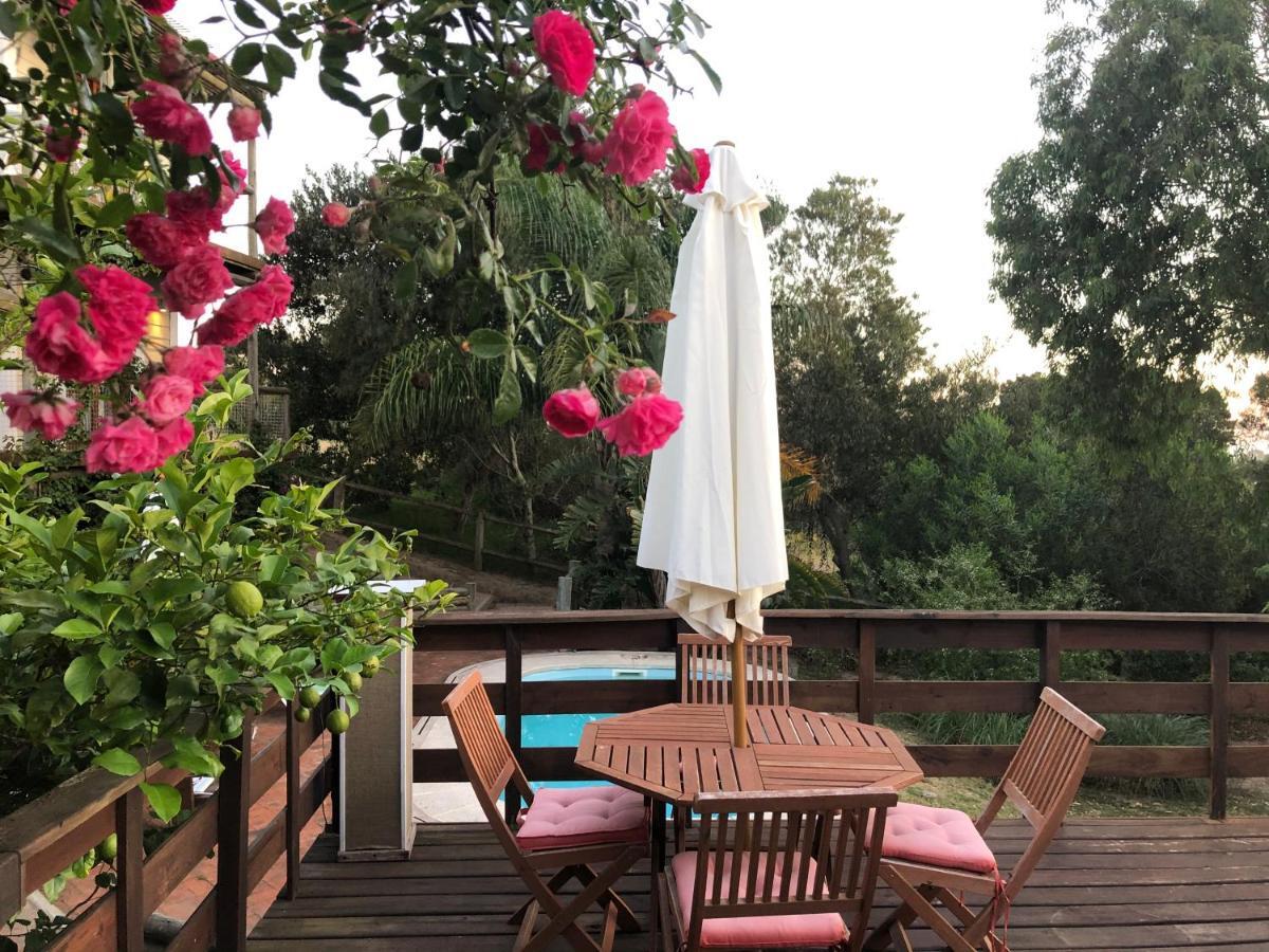חוסה איגנסיו Malta Homestay מראה חיצוני תמונה